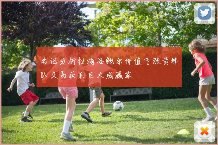 名记分析拉梅洛鲍尔价值飞涨黄蜂队交易获利巨大成赢家