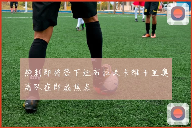 热刺即将签下杜布拉夫卡维卡里奥离队在即成焦点